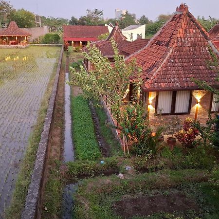 Alamanda Family Villas, Pool & Local Tours 日惹 外观 照片