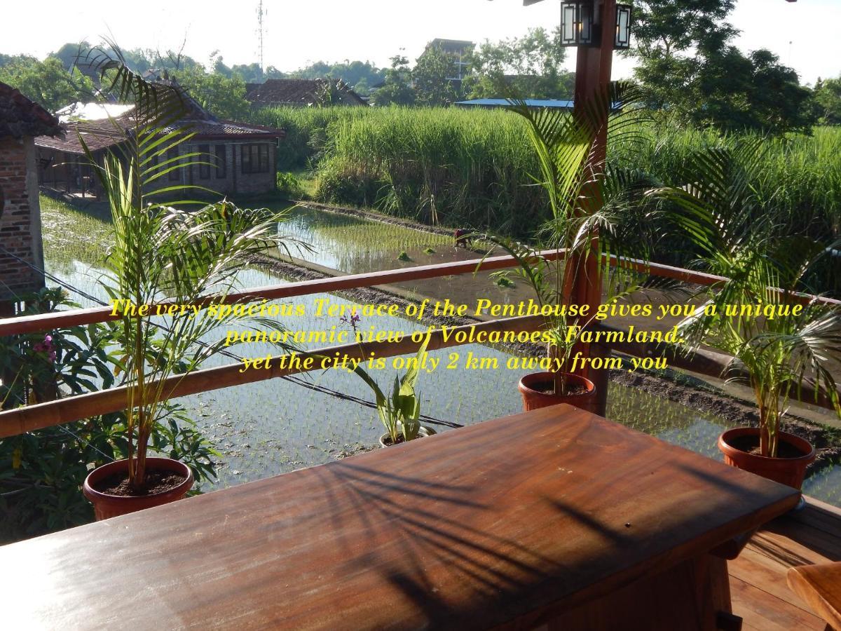 Alamanda Family Villas, Pool & Local Tours 日惹 外观 照片