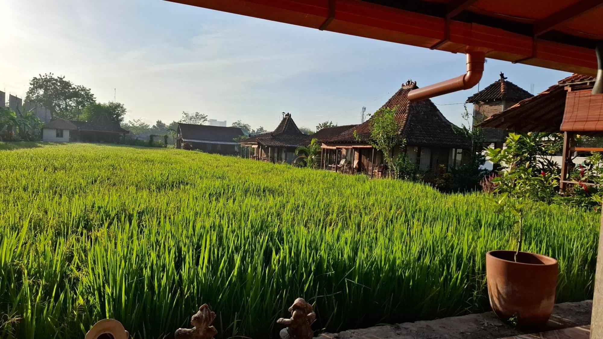 Alamanda Family Villas, Pool & Local Tours 日惹 外观 照片