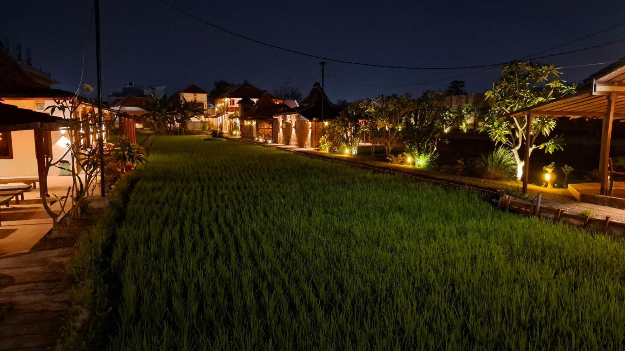 Alamanda Family Villas, Pool & Local Tours 日惹 外观 照片