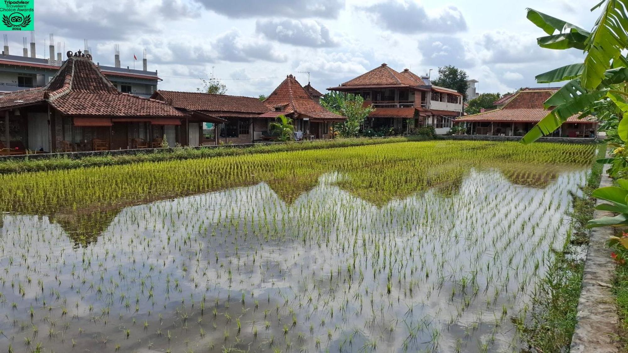 Alamanda Family Villas, Pool & Local Tours 日惹 外观 照片