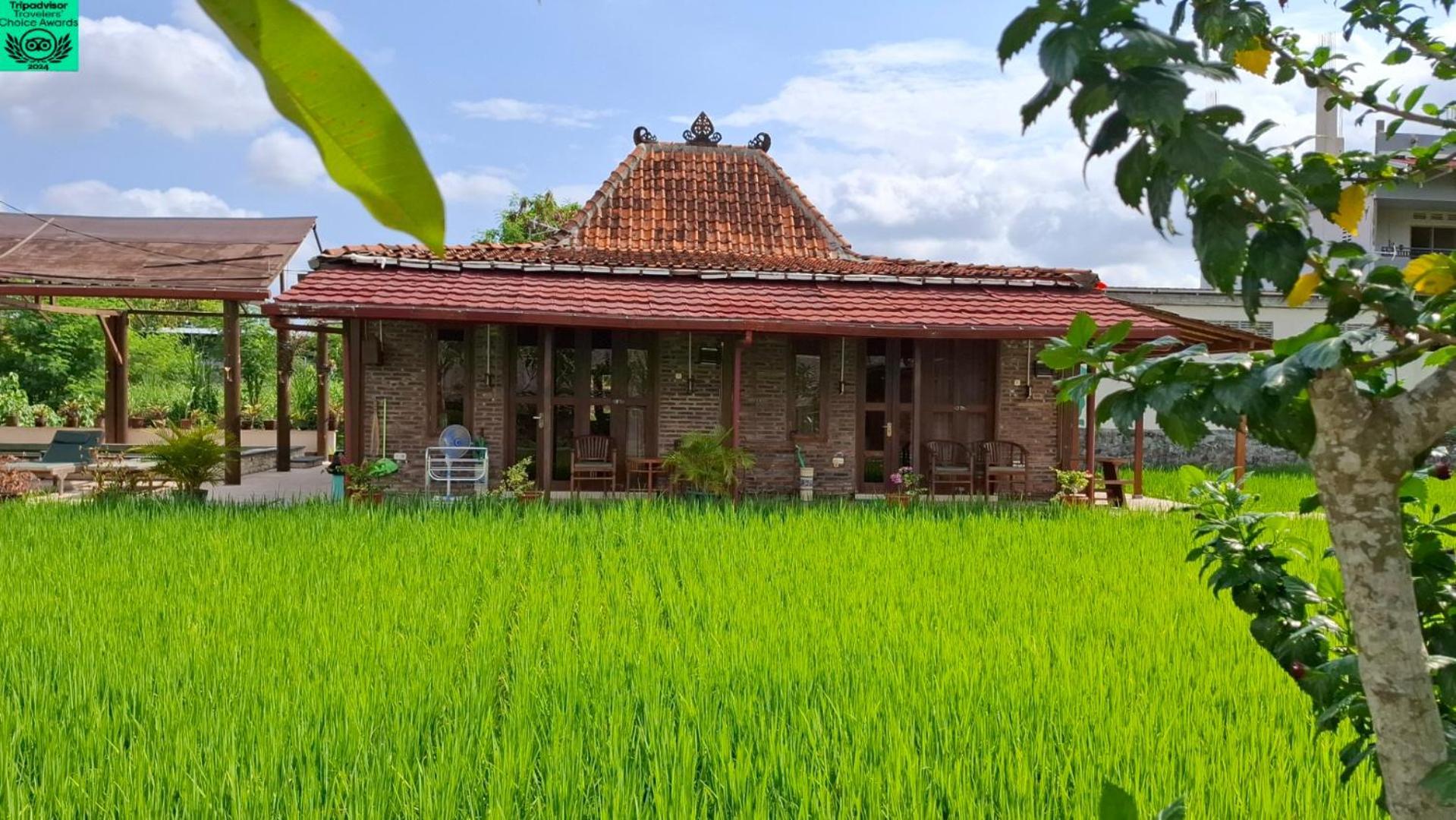 Alamanda Family Villas, Pool & Local Tours 日惹 外观 照片