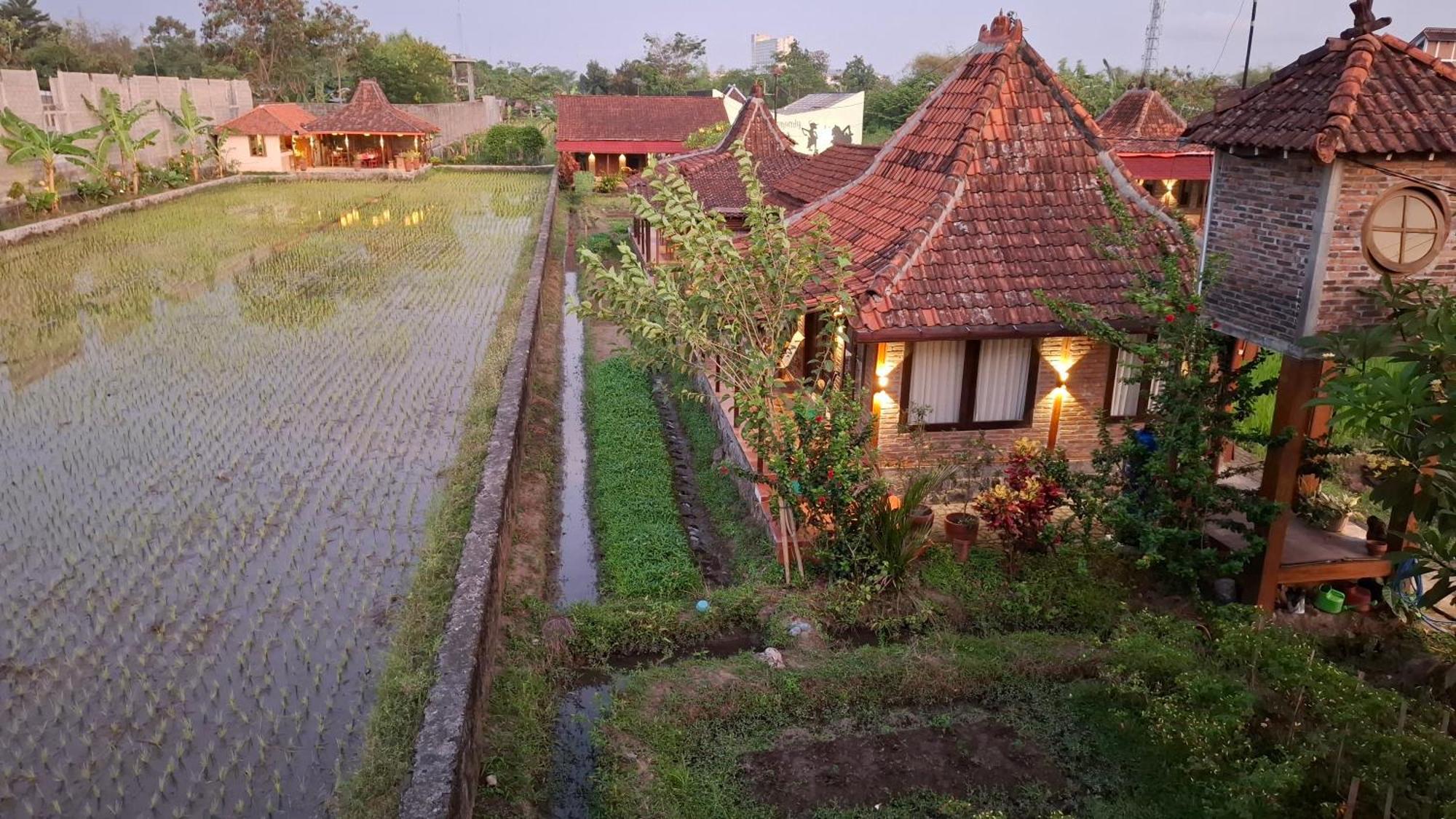 Alamanda Family Villas, Pool & Local Tours 日惹 外观 照片