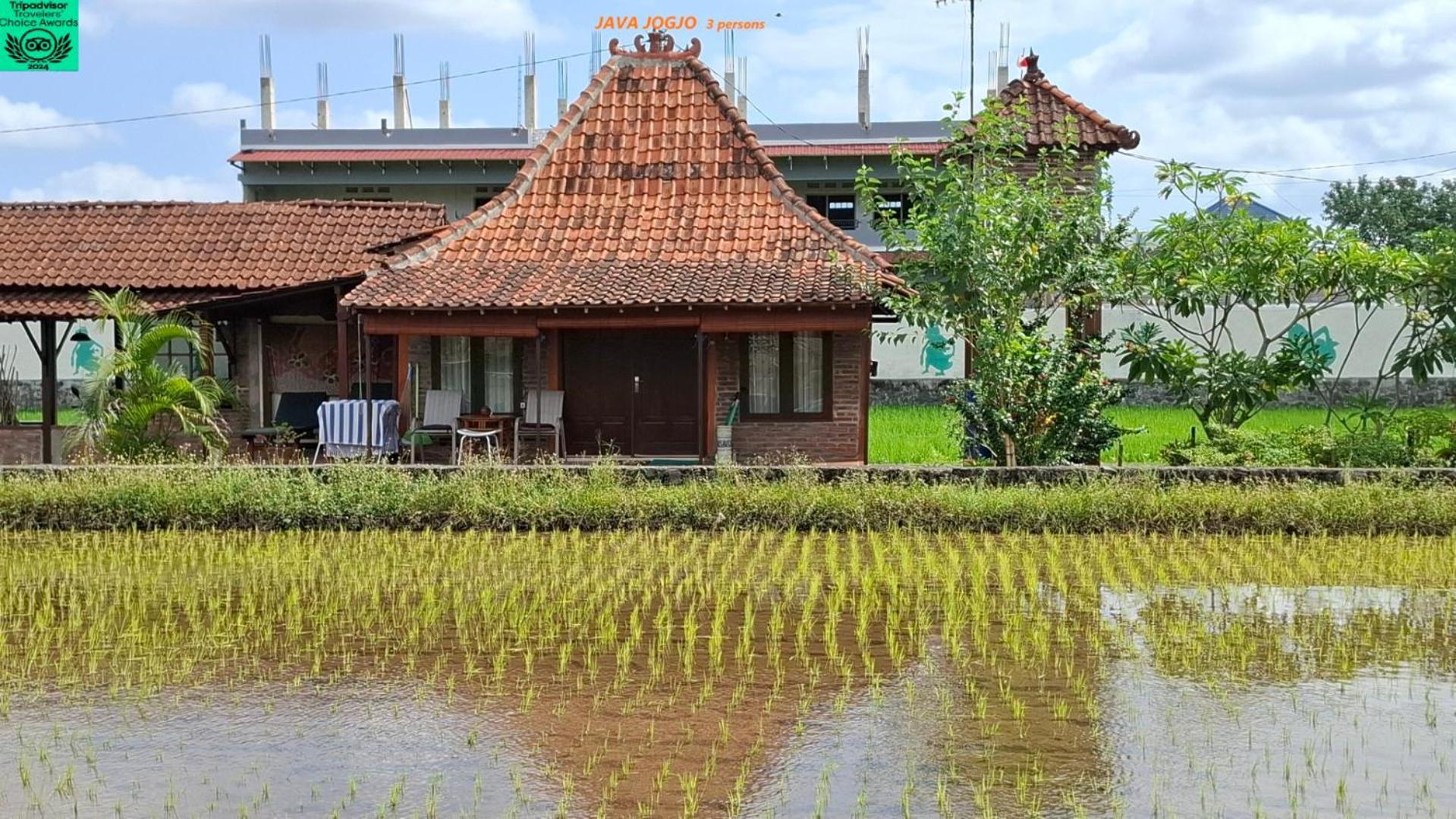 Alamanda Family Villas, Pool & Local Tours 日惹 外观 照片