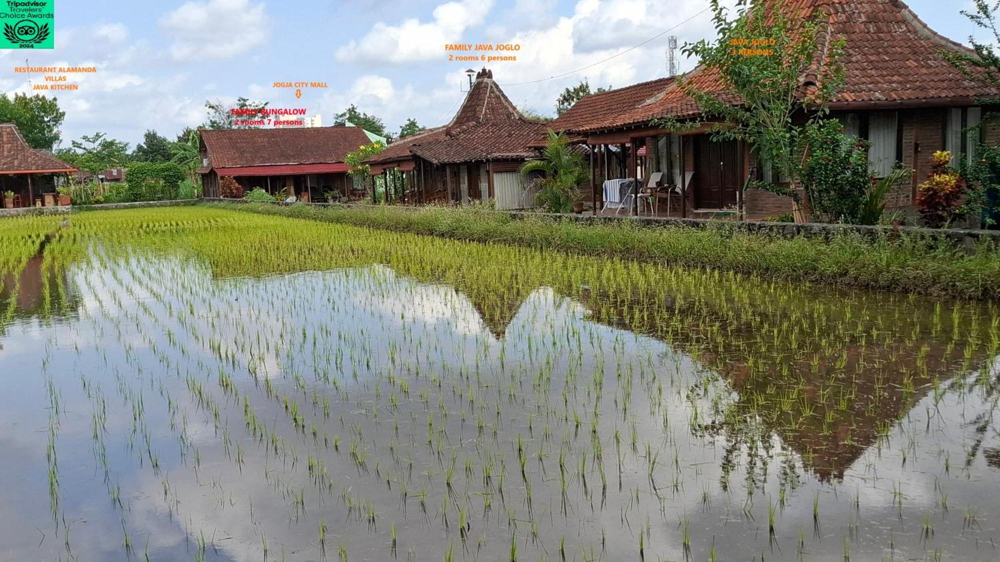 Alamanda Family Villas, Pool & Local Tours 日惹 外观 照片