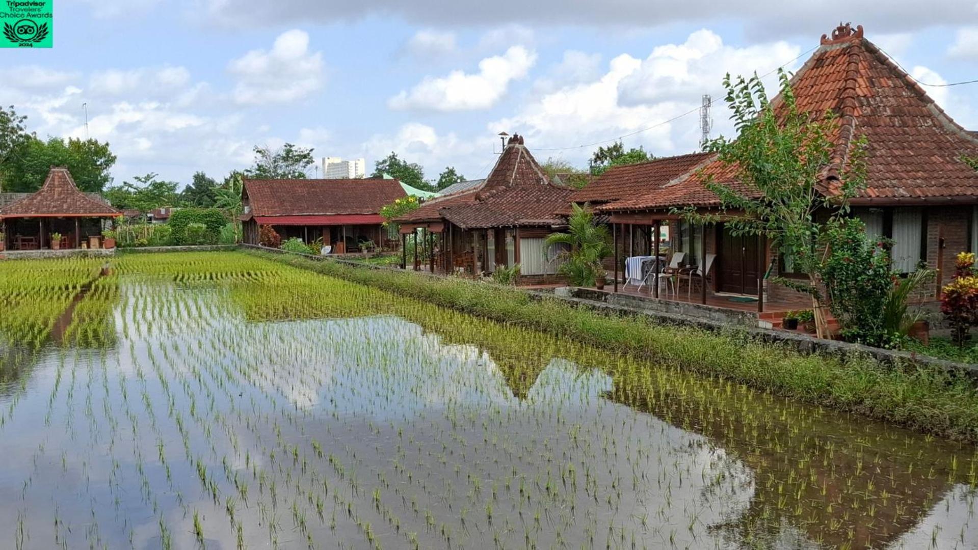 Alamanda Family Villas, Pool & Local Tours 日惹 外观 照片